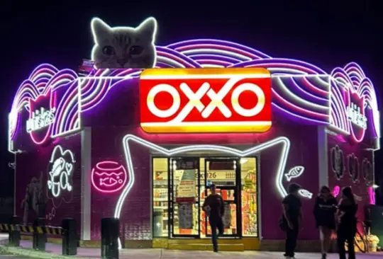 Michi Oxxo