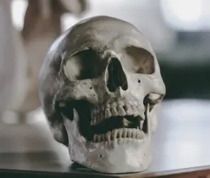 Descubrimiento macabro: cráneo hallado por adolescente es de un sospechoso de intento de asesinato