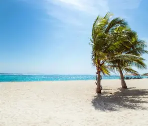 ¿Cuándo es el megapuente de marzo de 4 días antes de Semana Santa 2024?