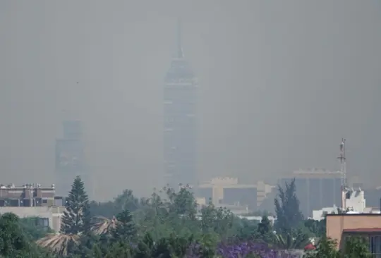 Autoridades sanitarias emitieron recomendaciones y medidas ante la contingencia ambiental. 