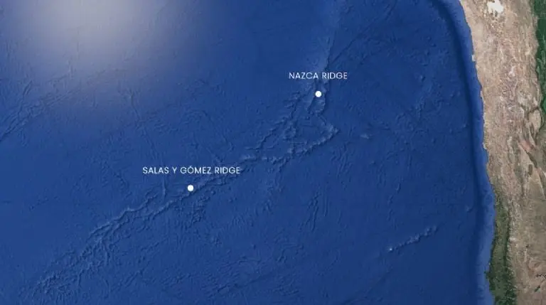 La Cresta de Salas y Gómez es una cadena de montañas submarinas de 2.900 kilómetros de largo.Foto: Schmidt Ocean Institute