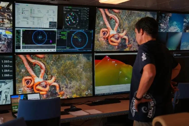 Durante la primera inmersión en un monte submarino inexplorado y sin nombre, Javier Sellanes (Científico Jefe, Universidad Católica del Norte) queda atónito ante la increíble biodiversidad que se ve aquí.Foto: Alex Ingle / Schmidt Ocean Institute