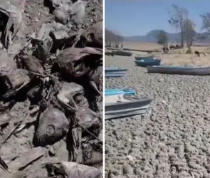 Devastador video muestra cómo el Lago Cuitzeo, el segundo más grande de México, está seco