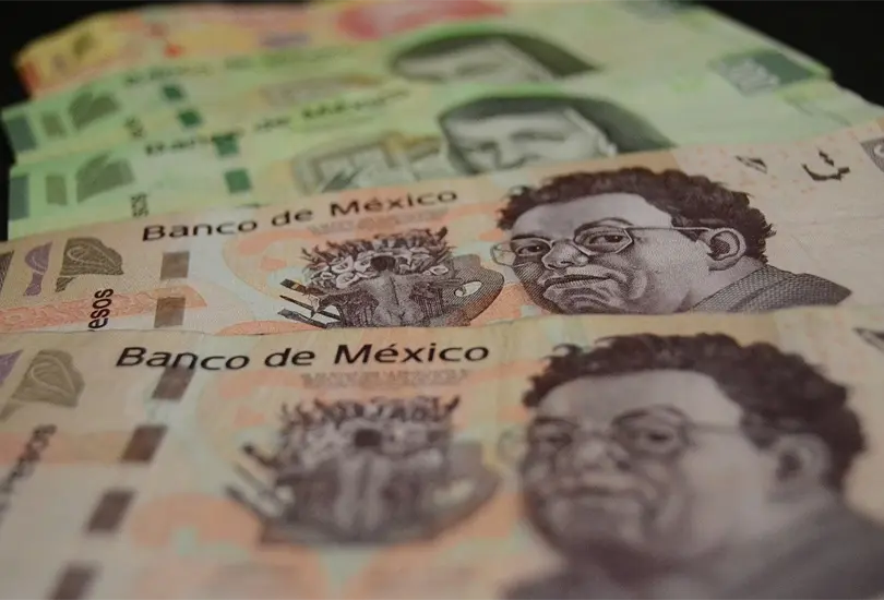 El gobierno de CDMX ofrece dos tipos de apoyo ante situaci&oacute;n en caso de desempleo de personas que viven en la capital del pa&iacute;s.