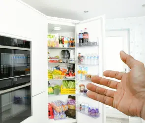 ¿Necesitas cambiar la lavadora o el refrigerador? La CFE te ayuda