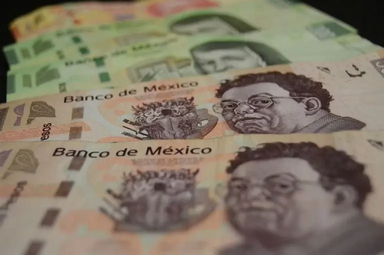 El gobierno de CDMX aofrede dos tipos de apoyos en caso de desempleo.Foto: Pixabay