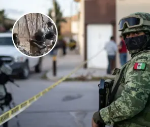 ¿El crimen organizado derribó un helicóptero del Ejército en Michoacán? Esto es lo que se sabe