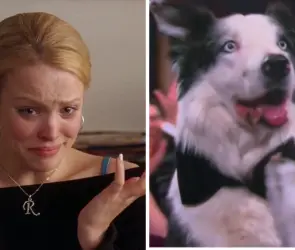Los mejores memes de los Premios Oscar 2024: desde Messi hasta el "robo" a La Sociedad de la Nieve