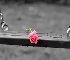 Adriel murió por brutal golpiza de sus compañeros de PRIMARIA en Hidalgo