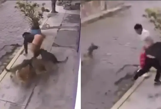 Jauría de perros ataca a dos jóvenes en calles de Metepec| VIDEO