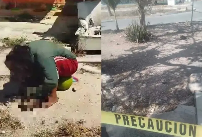 Los vecinos del lugar, señalaron que la mujer padece de sus facultades mentales Los vecinos del lugar, señalaron que la mujer padece de sus facultades mentales