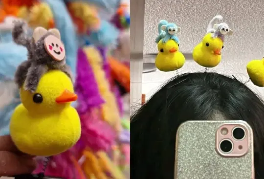patitos con changuitos virales