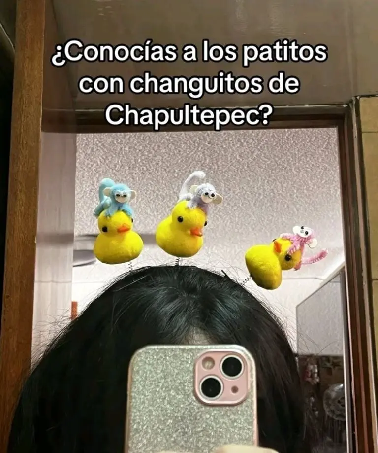 Patitos amarillos con changuitos (TikTok)