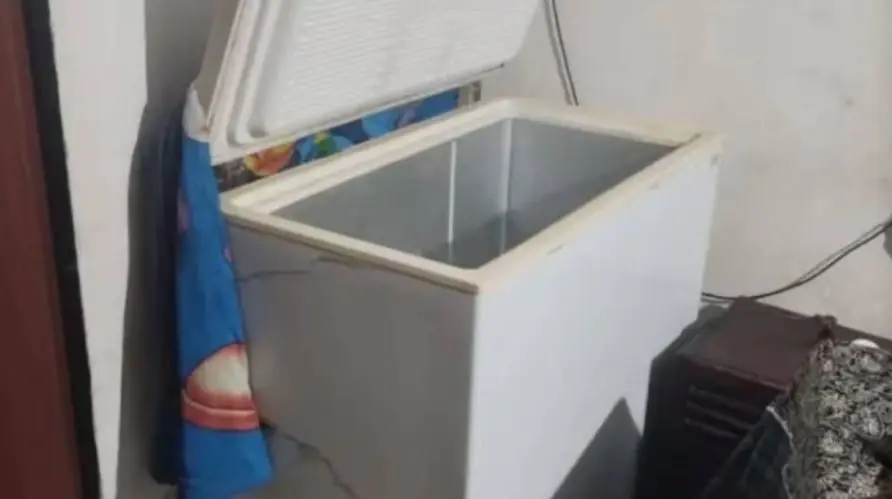 Ni&ntilde;o muere dentro de un congelador en Argentina 