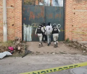 Colectivos hallan dos hornos crematorios y fosas clandestinas con restos humanos en Jalisco