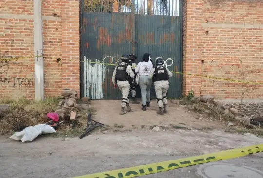 Colectivos hallan dos hornos crematorios y fosas clandestinas con restos humanos en Jalisco