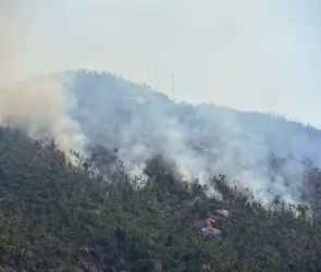 Las IMPACTANTES imágenes de los incendios forestales que consumen México