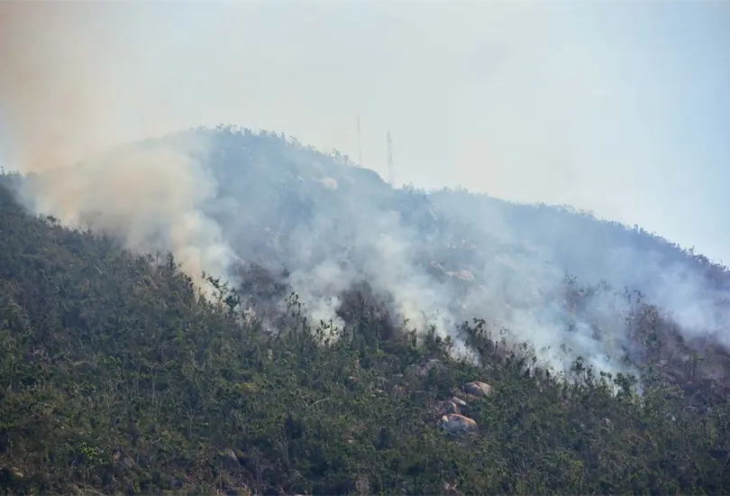 Se pueden alcanzar a ver en varios puntos del pa&iacute;s las columnas de humo producidas por los incendios forestales.