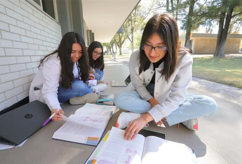 En la actualidad, el número de mujeres inscritas en educación superior supera a la de los hombres. En la actualidad, el número de mujeres inscritas en educación superior supera a la de los hombres.