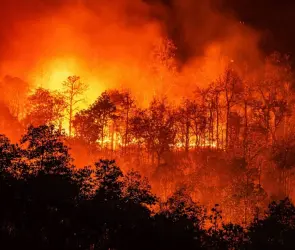 Mapa| Estos son los estados más afectados por los incendios forestales