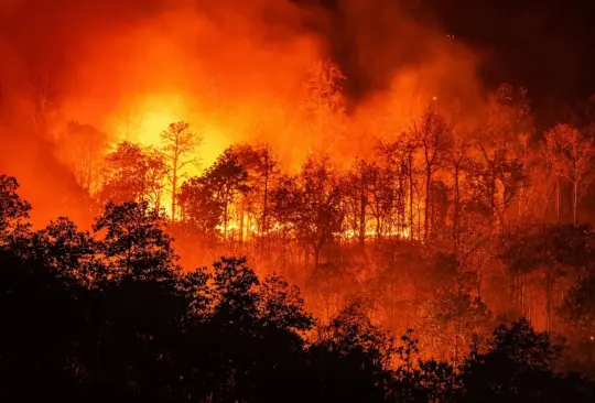 Incendios forestales afectan a gran parte de la república 