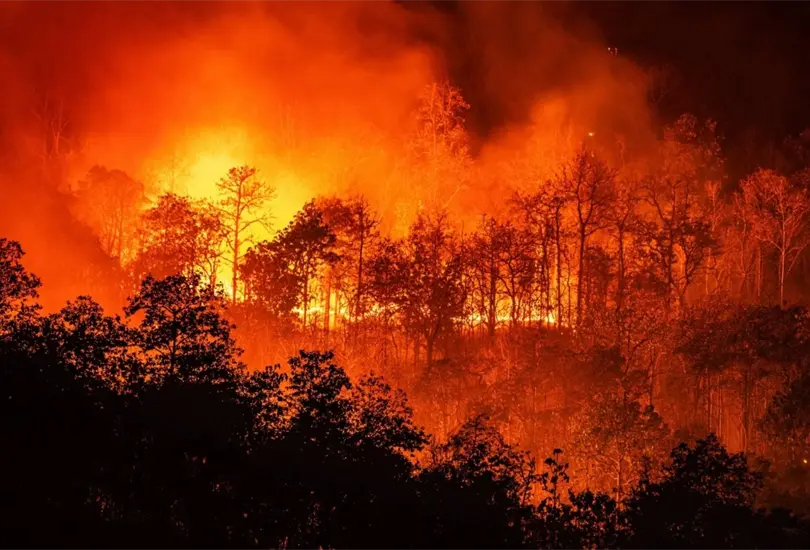 Incendios forestales afectan a gran parte de la rep&uacute;blica 