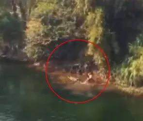 Tragedia en Semana Santa| Familia va de vacaciones a Chiapas y muere ahogada en el río Grijalva