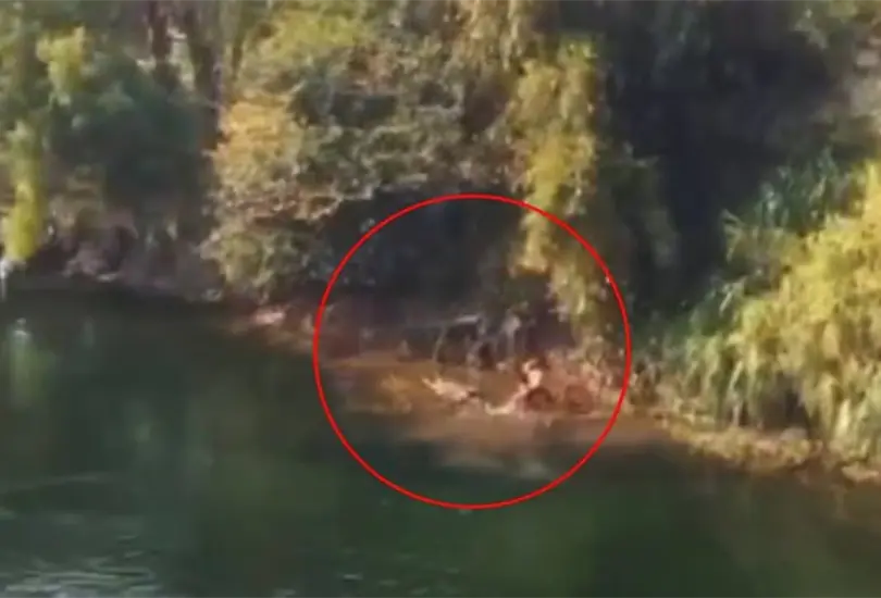 Familia muere ahogada en el R&iacute;o Grijalva 