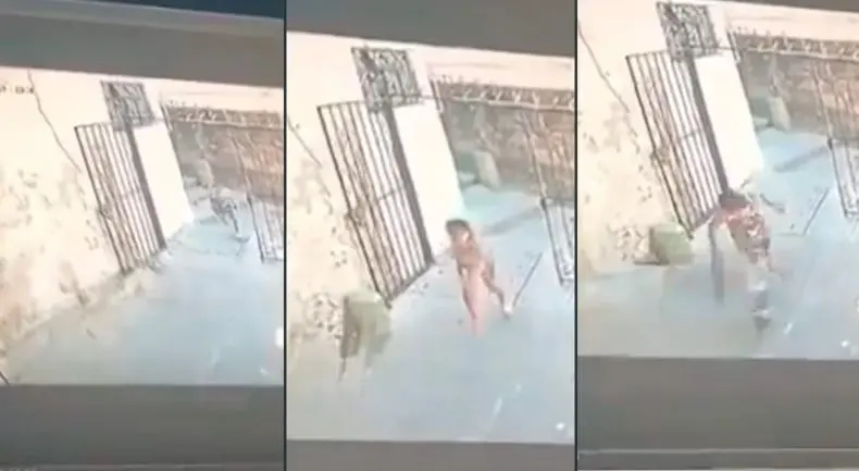 Camila fue encontrada sin vida un día después de haber sido secuestrada Camila fue encontrada sin vida un día después de haber sido secuestrada