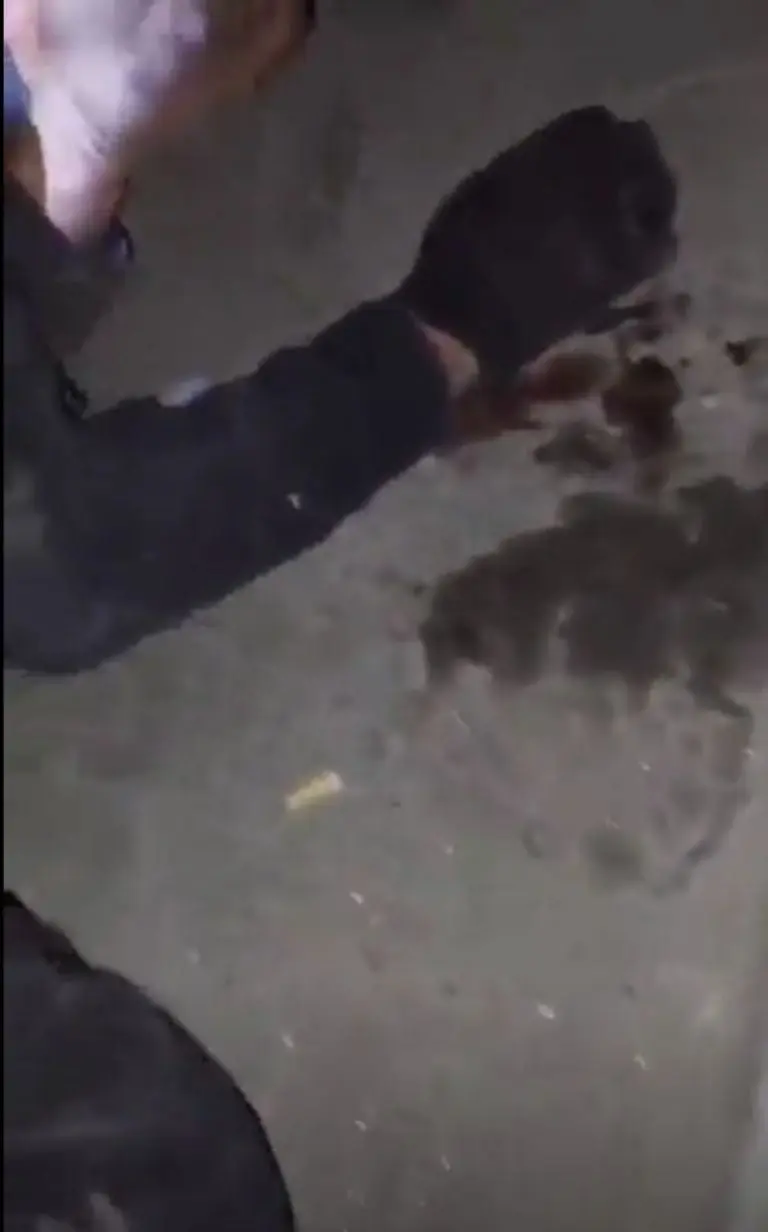 Taxistas intentan linchar a presuntos asaltantes en Tijuana - Captura de pantalla