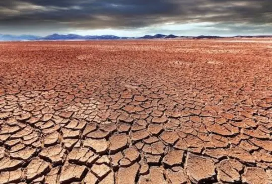 La sequía es una problemática que ha afectado a la República Mexicana desde hace varios años atrás, provocado por la falta de lluvias y el aumento de las temperaturas.