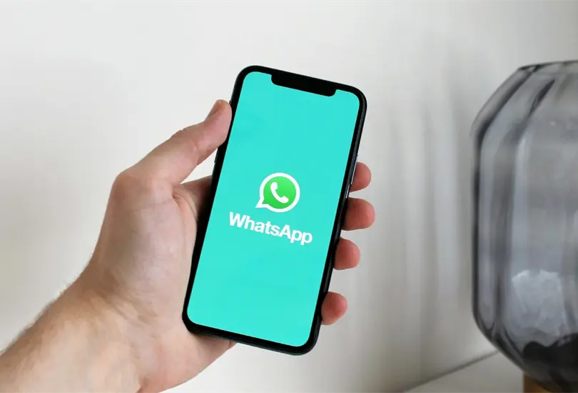 Lo nuevo de WhatsApp Ahora podrás enviar mensajes a otras aplicaciones Lo nuevo de WhatsApp Ahora podrás enviar mensajes a otras aplicaciones