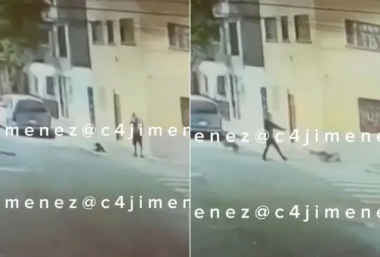 Hasta un perrito salió huyendo de la escena Hasta un perrito salió huyendo de la escena
