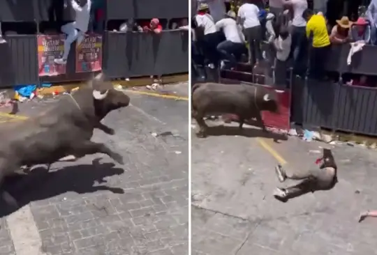 Toro embiste a joven por la cara. 