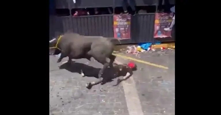 El animal también le pasó por encima. Foto: especial.