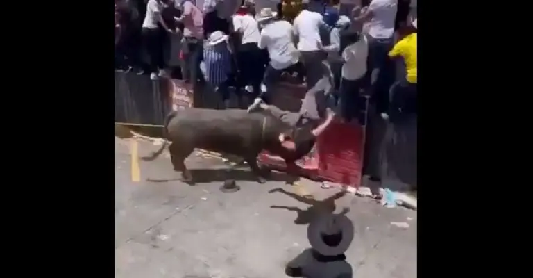 El toro mandó a volar al joven. Foto: especial.