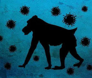 Esto sabemos de la nueva cepa de viruela del mono que ha puesto en alerta a las autoridades