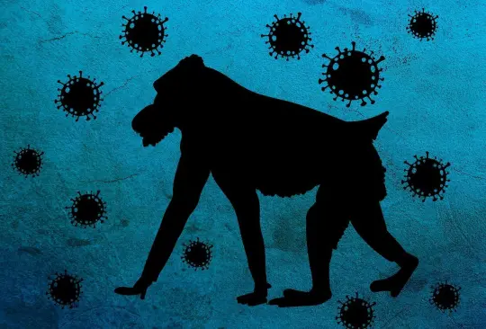 La viruela del mono es causada por el virus Orthopoxvirus y se cree que tiene origen africano. 