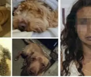 ¿Quién es María Consuelo "N"?: La "mata perros de Bosques de San Sebastián" que llevaba 5 años prófuga