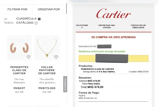 Joven compra pendientes Cartier de más de 400 mil pesos en tan solo 237 por error de la marca