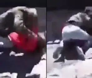 Mujer agrede brutalmente a estudiante de secundaria en Edomex; VIDEO causa indignación: "¿por qué no las separan?"
