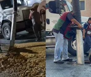 Carne podrida en Nezahualcóyotl: cierran fábrica de embutidos tras colapso de coladeras