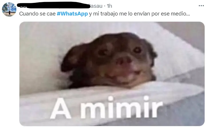 Cabe señalar que el empresario estadounidense es el dueño de la compañía de mensajería instantánea. 