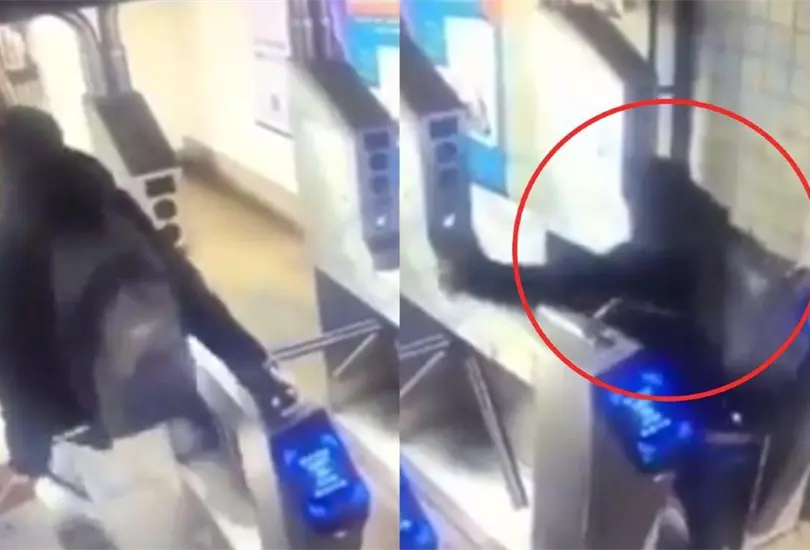 El hombre falleci&oacute; al instante