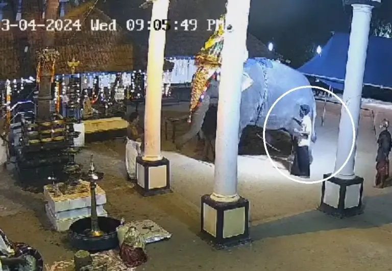 Elefante aplasta a hombre en espectáculo (X)