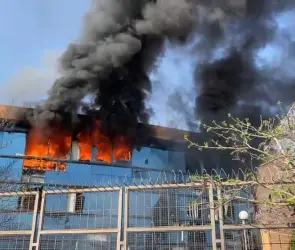 Normalistas atacan con petardos e incendian vehículos en Palacio de Gobierno en Chilpancingo