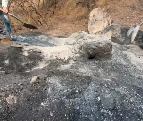 Fiscalía asegura que propietaria de INE que fue localizada cerca de crematorio clandestino está bien