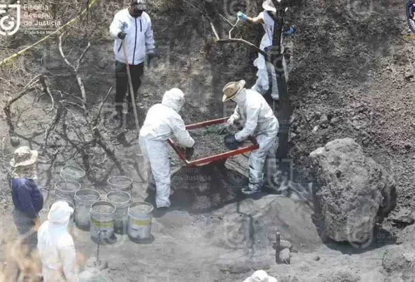  Restos hallados en crematorio clandestino son de animales: Fiscal&iacute;a de la CDMX 