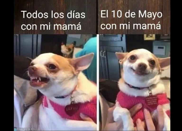Te quiero mucho mamá