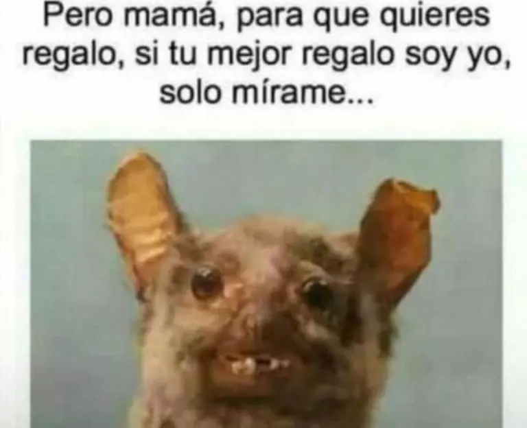 Con toda la actitud siendo el mejor regalo de mamá
